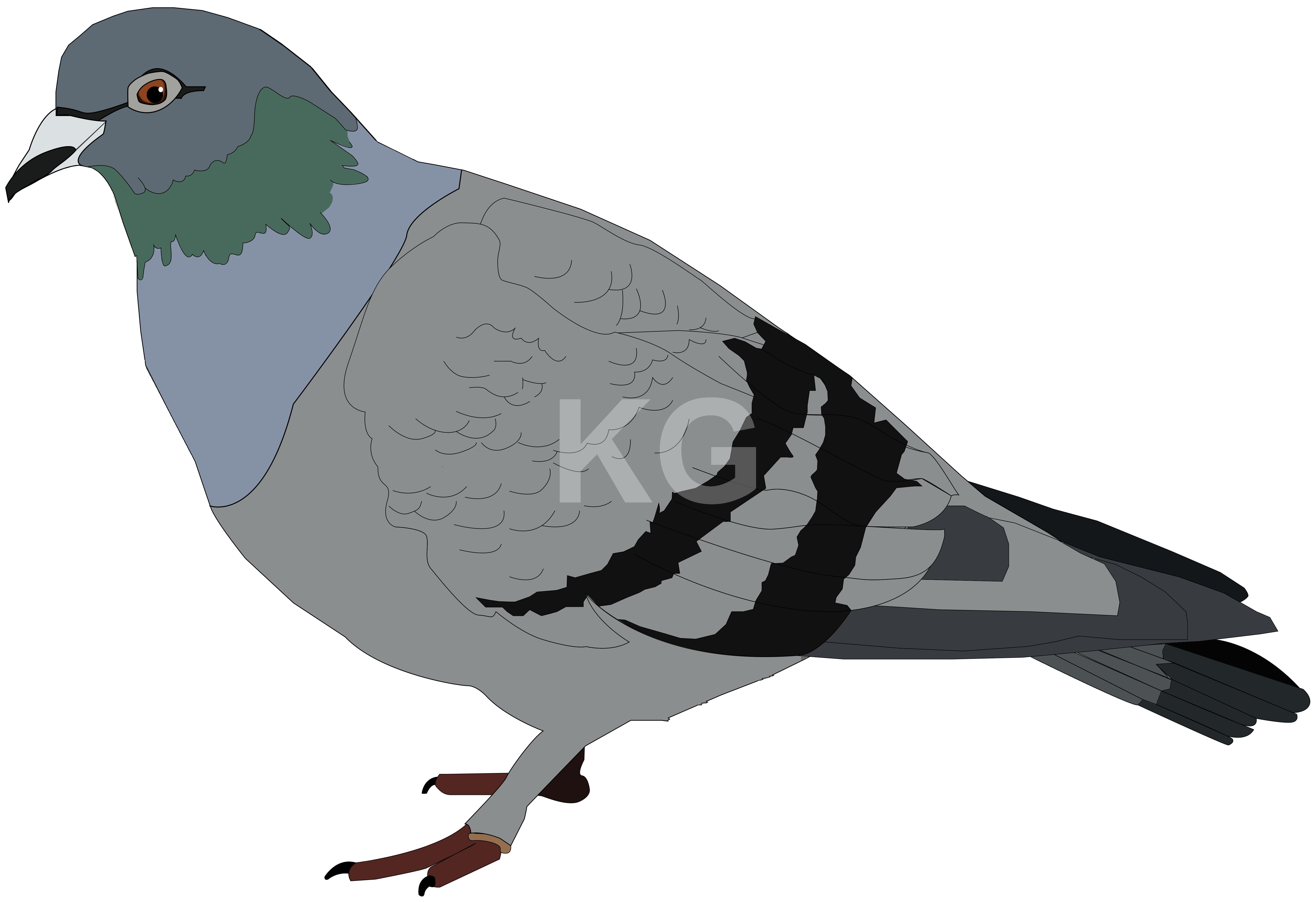 Board Game Certificate